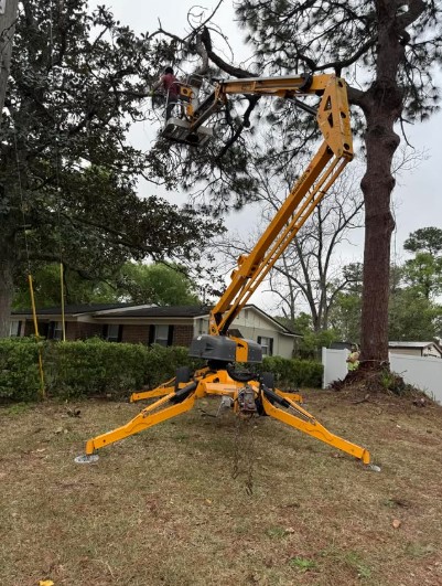 Spider Lift
